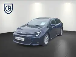 Suzuki Swace