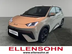 BYD Dolphin Surf
