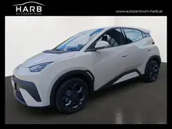 BYD Dolphin Surf