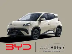BYD Dolphin Surf