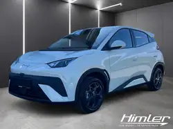 BYD Dolphin Surf