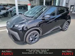 BYD Dolphin Surf