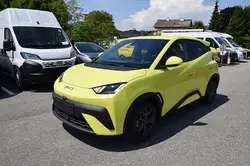 BYD Dolphin Surf