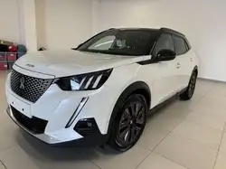 Peugeot e-2008