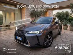 Lexus UX 300e