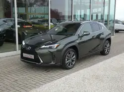Lexus UX 250h
