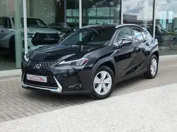 Lexus UX 250h