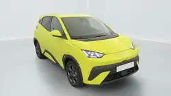 BYD Dolphin Surf