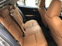 Lexus UX 300e