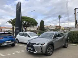 Lexus UX 300e