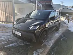 BYD Dolphin Surf