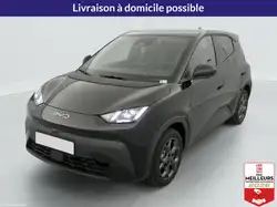 BYD Dolphin Surf