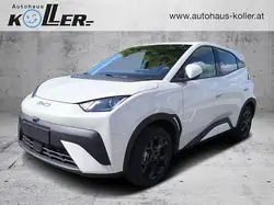 BYD Dolphin Surf