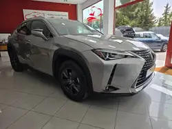 Lexus UX 250h